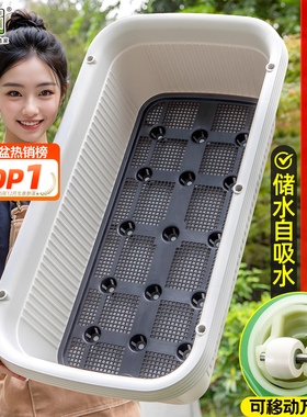 阳台种菜专用盆长方形户外庭院花盆蔬菜自吸水储水特大花箱种植箱