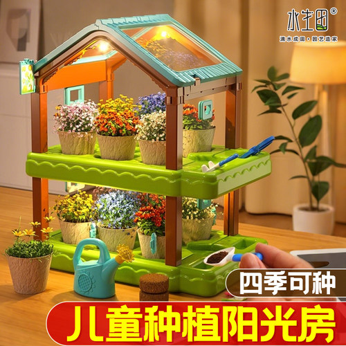 儿童迷你绿植观察种植