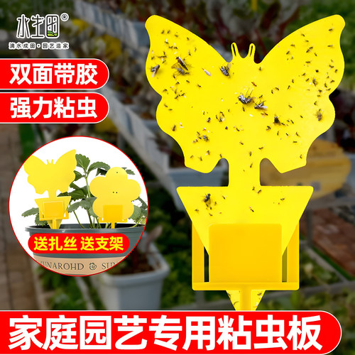 水生田家庭园艺专用粘虫板
