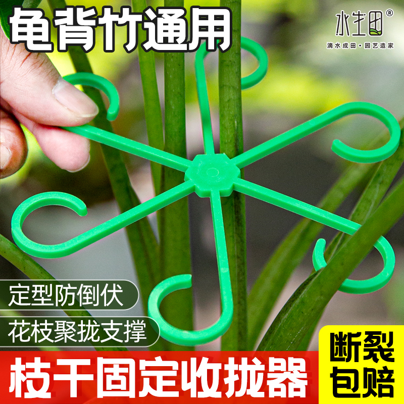 龟背竹植物支撑杆花卉蝴蝶兰固定绿植防倒伏园艺花架固定器收拢器