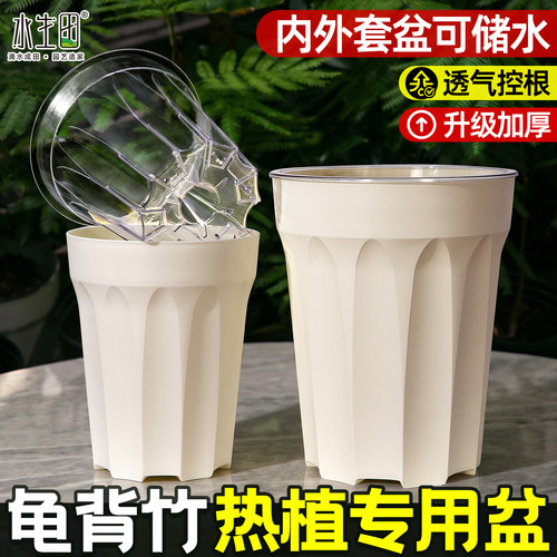 龟背竹热植专用花盆懒人自吸水