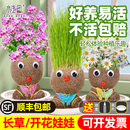 草头娃娃头上长草创意小盆栽儿童幼儿园好养观察植物生长网红花卉