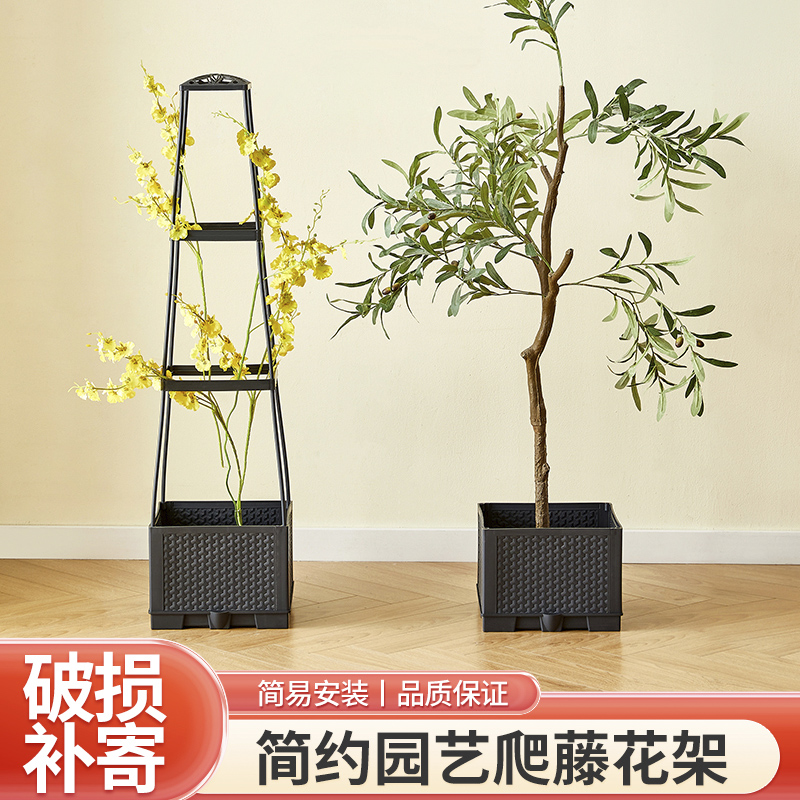 PP材质简约爬藤箱水生田