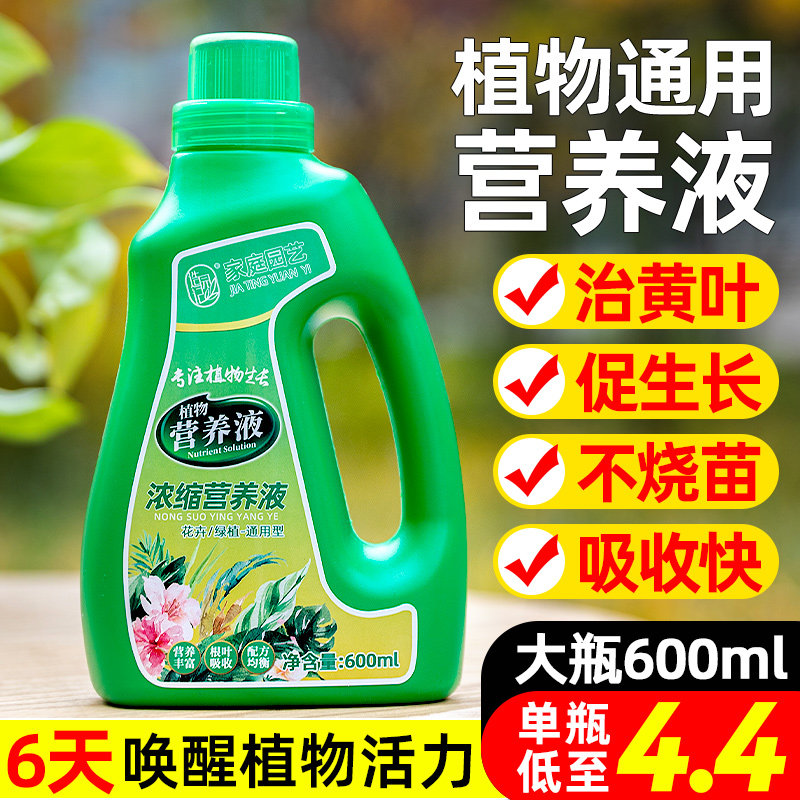 速发营养液植物通用型绿萝贵竹富发财树木多肉水培养花卉绿植花肥