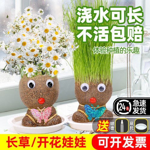 头上长草娃娃水生田幼儿园