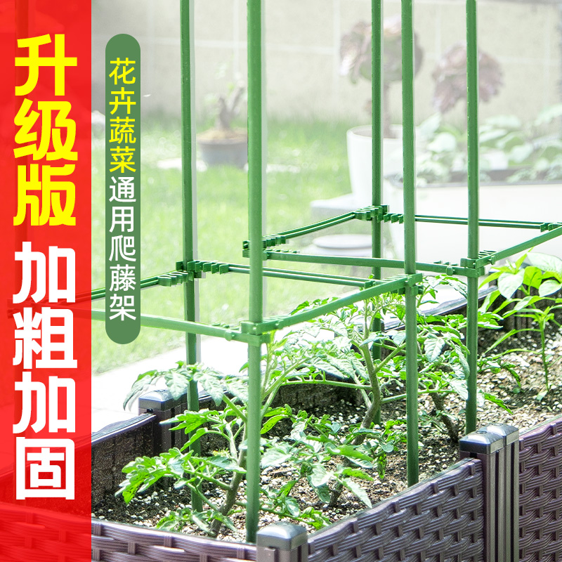 爬藤架园艺花架支架植物攀爬架包塑钢管室内外月季铁线莲葡萄托架 鲜花速递/花卉仿真/绿植园艺 花架 原图主图