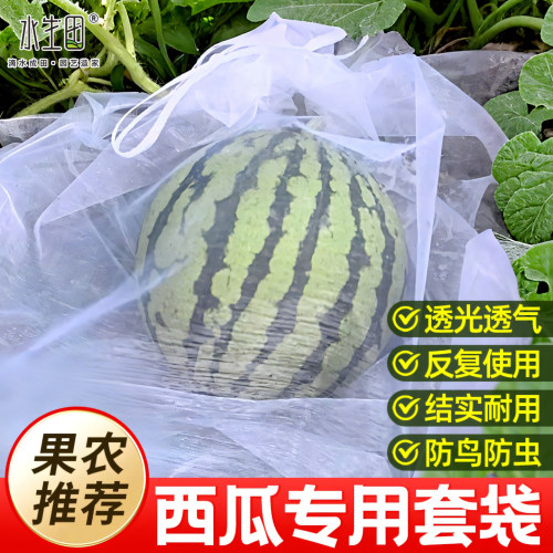 西瓜专用套袋果袋防虫防鸟