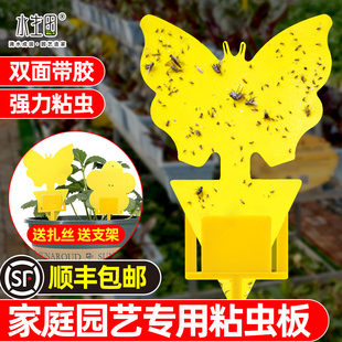 花型蝴蝶型粘蟲板黃板雙面強力室內專用家用薊馬插桿植物蚊子粘板