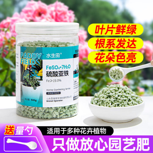 硫酸亚铁土壤改良茉莉栀子花肥料