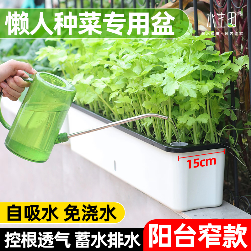 家庭阳台种菜盆长方形专用箱自吸水懒人花盆自动窄型塑料盆栽神器