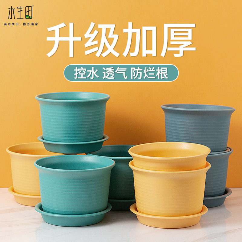 多肉绿萝阳台小花盆栽北欧塑料