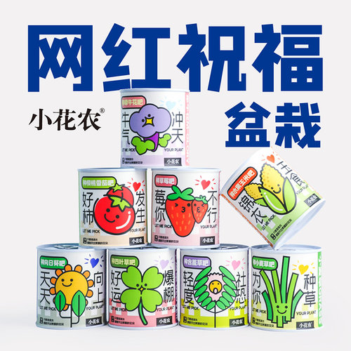 神奇植物室内四季趣味种植