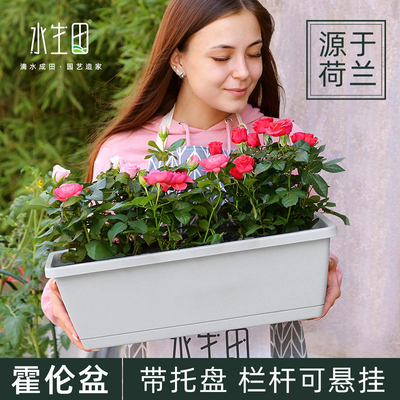 挂起来的长条长方形养花种菜神器家庭阳台壁挂花盆塑料霍伦盆种植