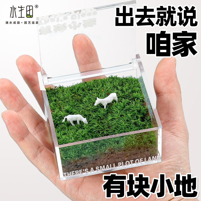 苔藓微景观生态瓶懒人创意桌面