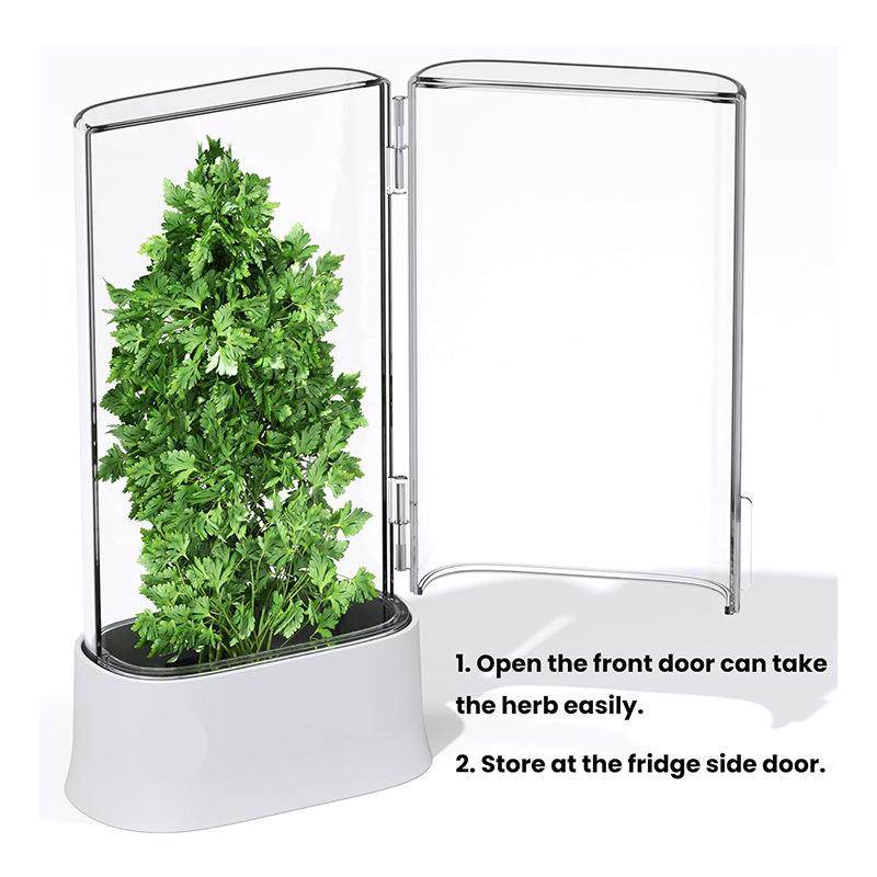 亚马逊跨境爆款用于新鲜蔬菜保鲜保鲜盒蔬菜保鲜器香菜草本保鲜盒,餐饮具,保鲜盒,淘宝优惠券,粉丝福利购,淘宝优惠卷