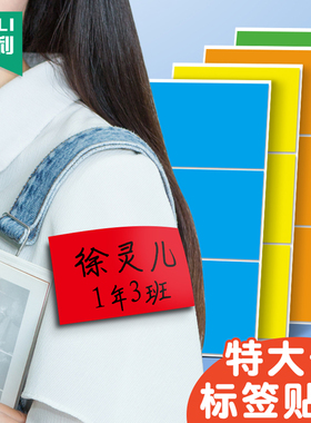杰利特大号彩色长方形标签贴纸可手写姓名贴方框自粘衣服贴不干胶空白背胶贴即时贴10cm胸贴臂贴名字标贴定制