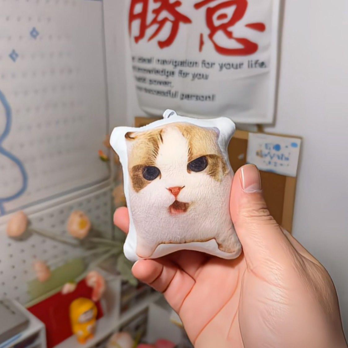新款杨戬猫咪发声音毛绒挂件抽象小猫发声玩偶宠物钥匙扣发声挂件