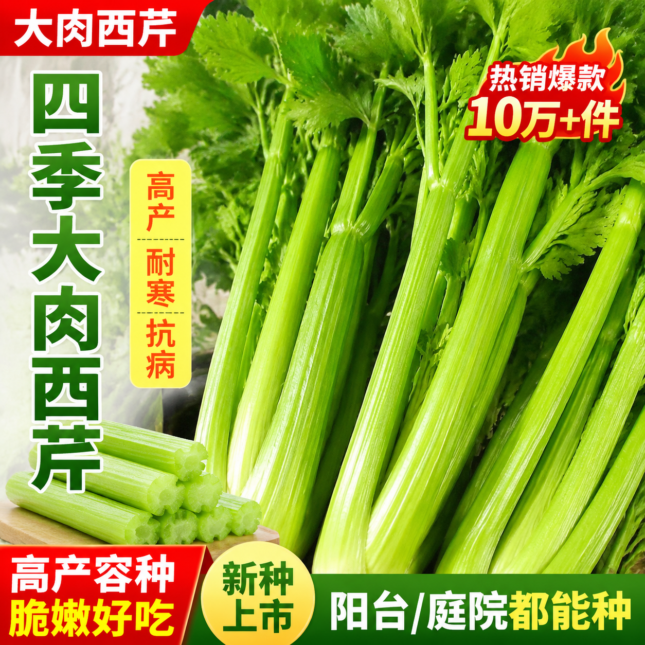 大肉西芹种子芹菜种籽肉厚实芹脆爽阳台盆栽庭院农家菜园蔬菜种孑