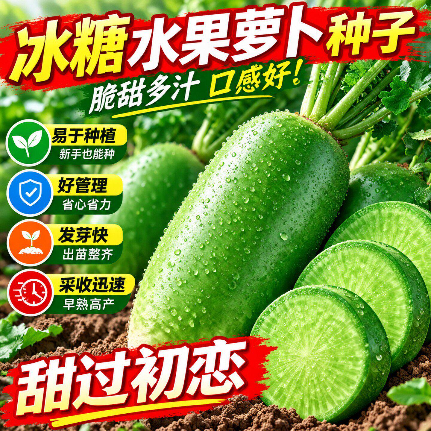 冰糖水果萝卜种子生吃脆甜蔬菜种天津绿肉沙窝萝卜种籽四季播种
