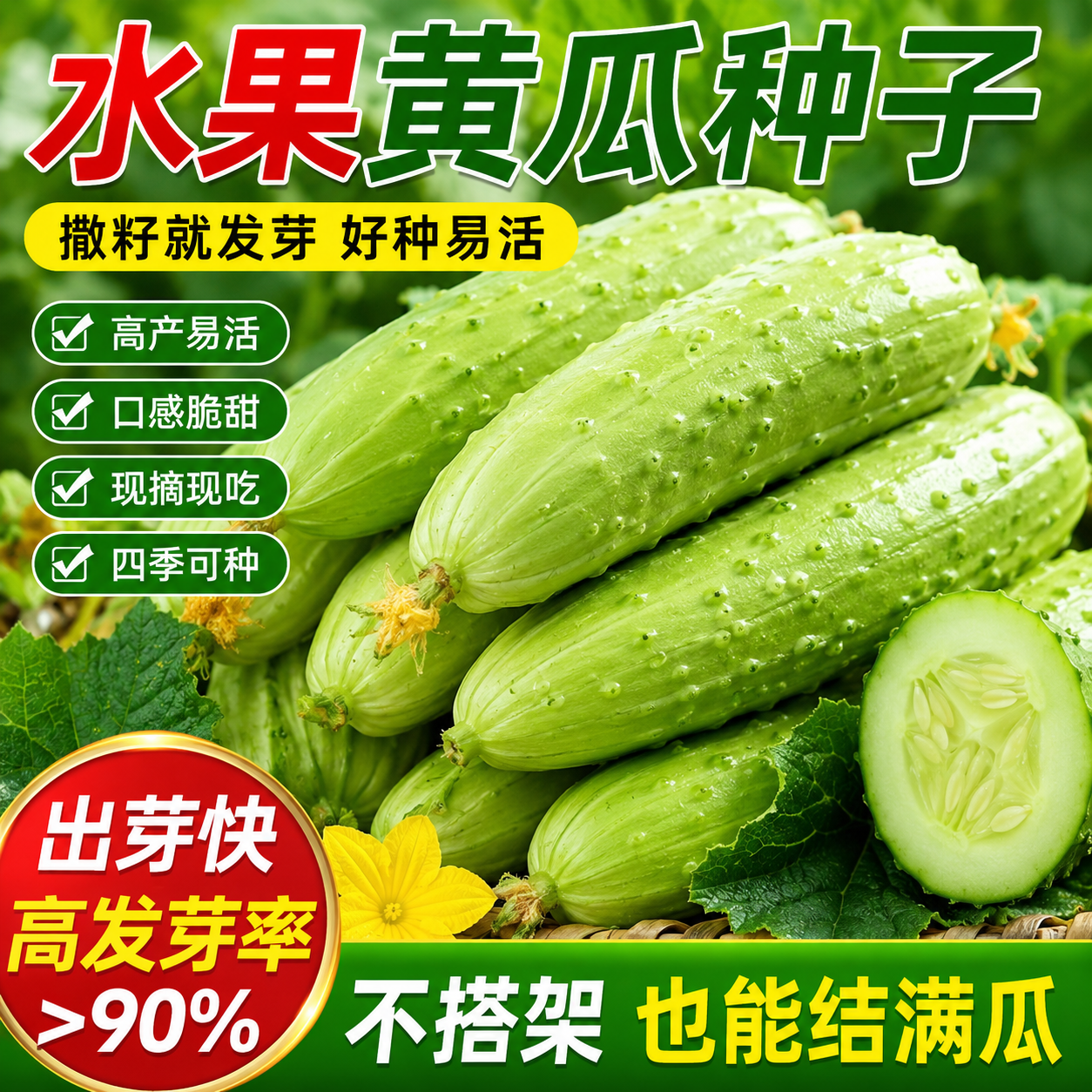 水果黄瓜种子生吃甜脆不苦阳台盆栽春季四季播种植蔬菜旱瓜果种籽