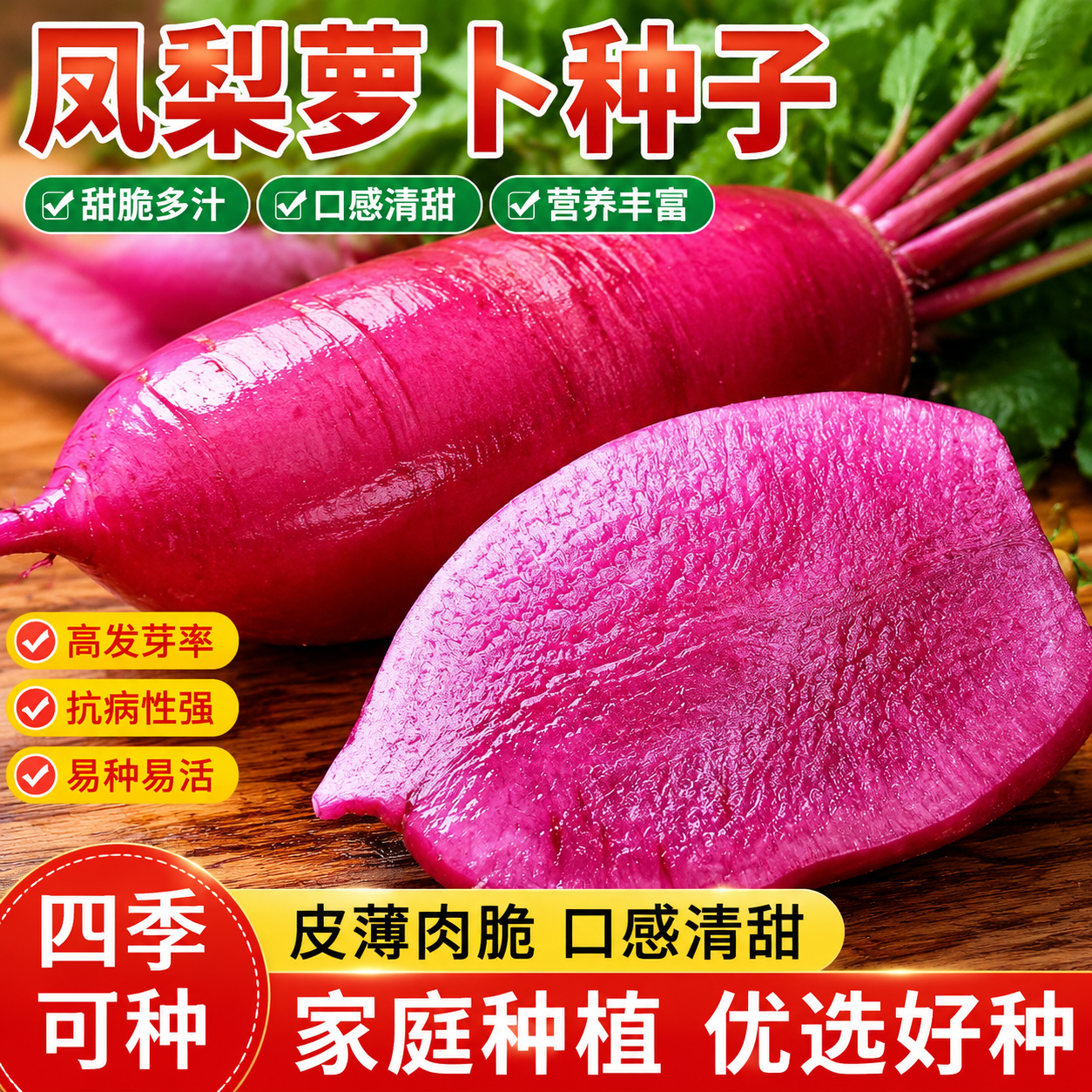 脆甜凤梨水果萝卜种子紫美人婕美潍县青水果萝卜四季阳台盆栽种子