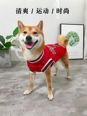 中小型犬衣服防掉毛薄款透气背心