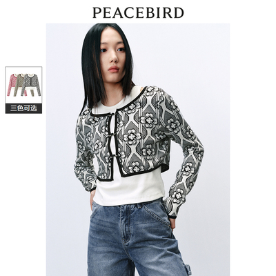 太平鸟女装2025年秋季新款两件式线套衫A1EEE1285