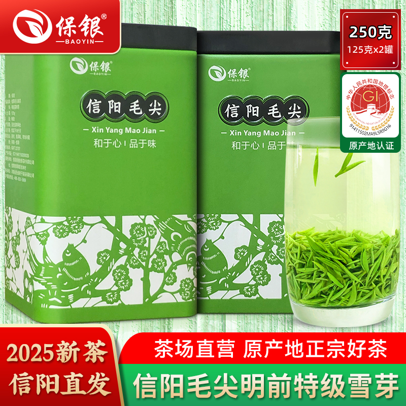 保銀信陽毛尖2025新茶精品雪芽