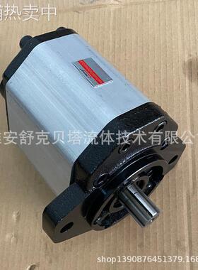 BHP3AOD50H4Z7-R液压齿轮泵