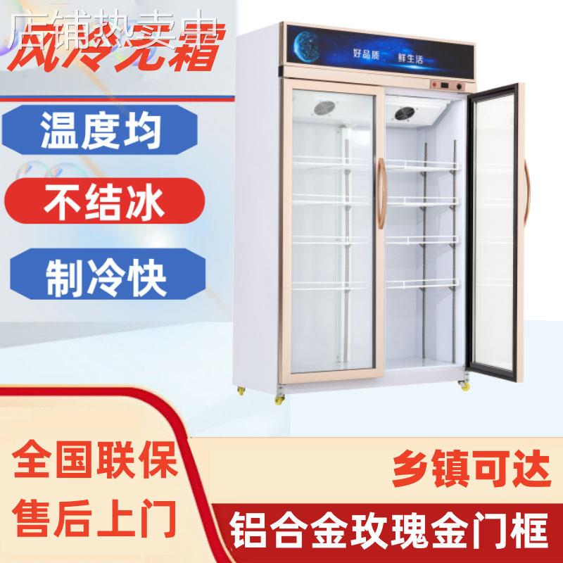 冷藏柜保鲜展示柜商用立式啤酒饮料冰箱展示柜直冷风冷冰柜