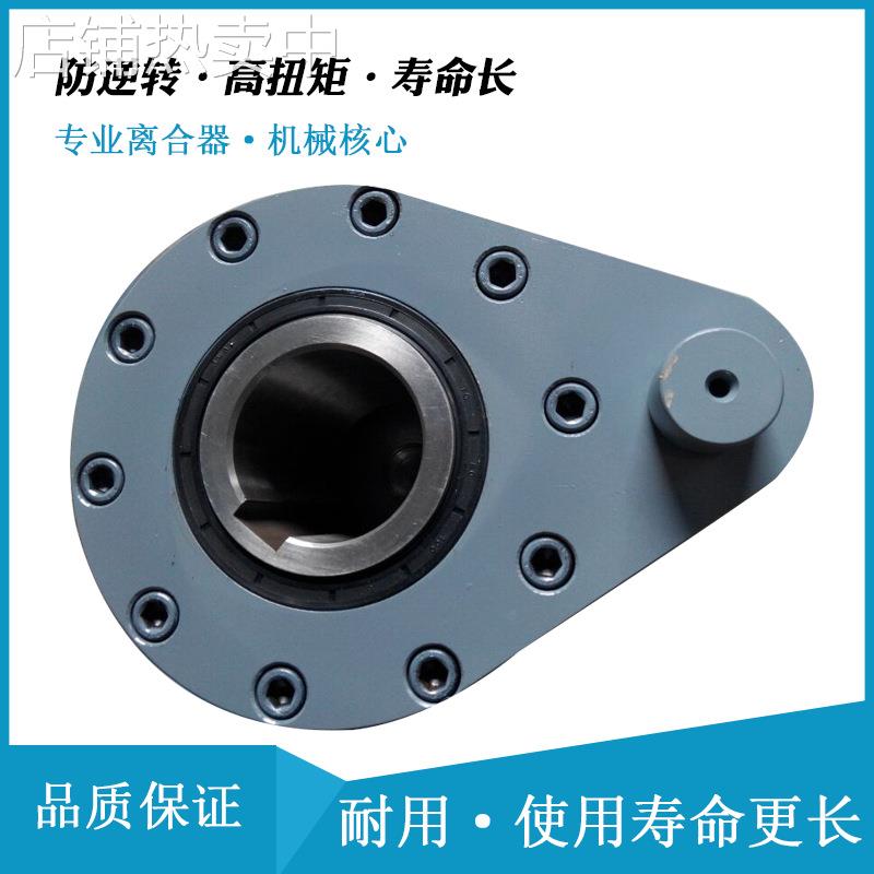 滚珠式单向离合器 GFR100F2F3 星轮结构单向离合器用于治金机械