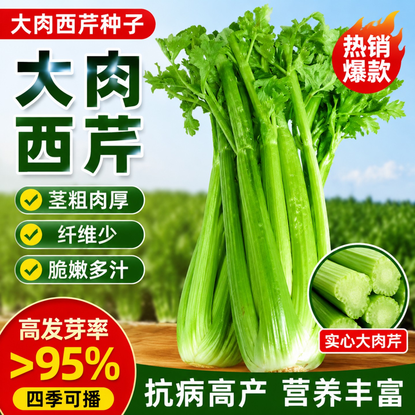 【西芹种子】大肉西芹芹菜种籽肉厚脆爽春秋四季可播庭院田园农家