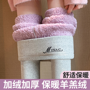 线裤 特厚打底裤 保暖棉裤 云感羊羔绒东北弹力紧身秋裤 女外穿秋冬季