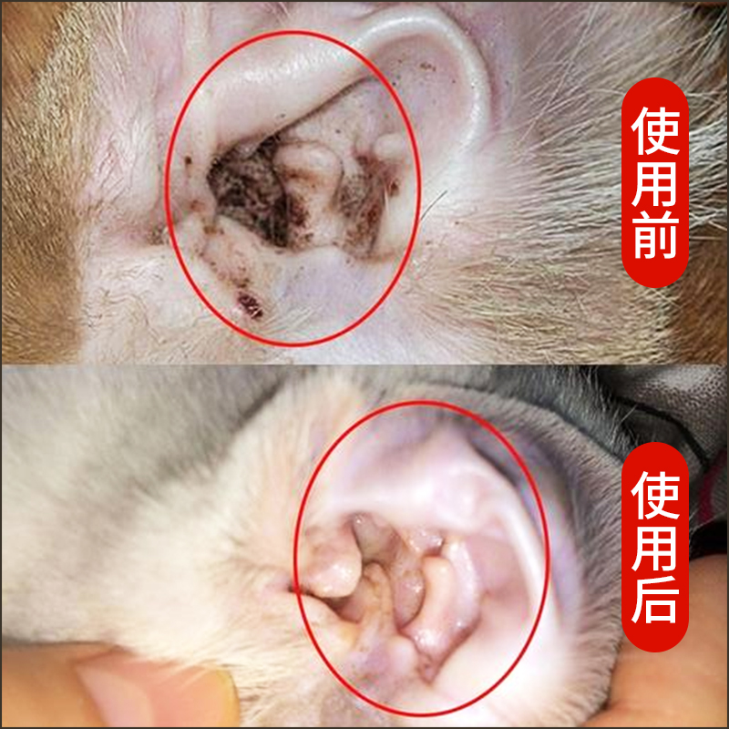 滴耳液洗耳液猫咪狗狗用宠物耳螨