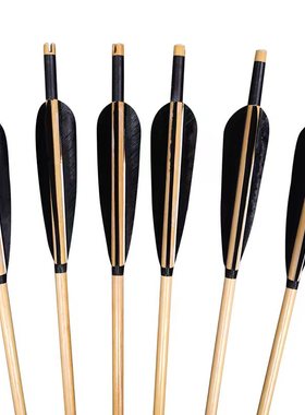 君驰PMZ真羽木箭黑羽白杆80厘米户外射箭速射箭6支装