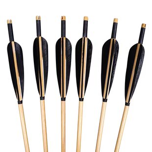 君驰PMZ真羽木箭黑羽白杆80厘米户外射箭速射箭6支装