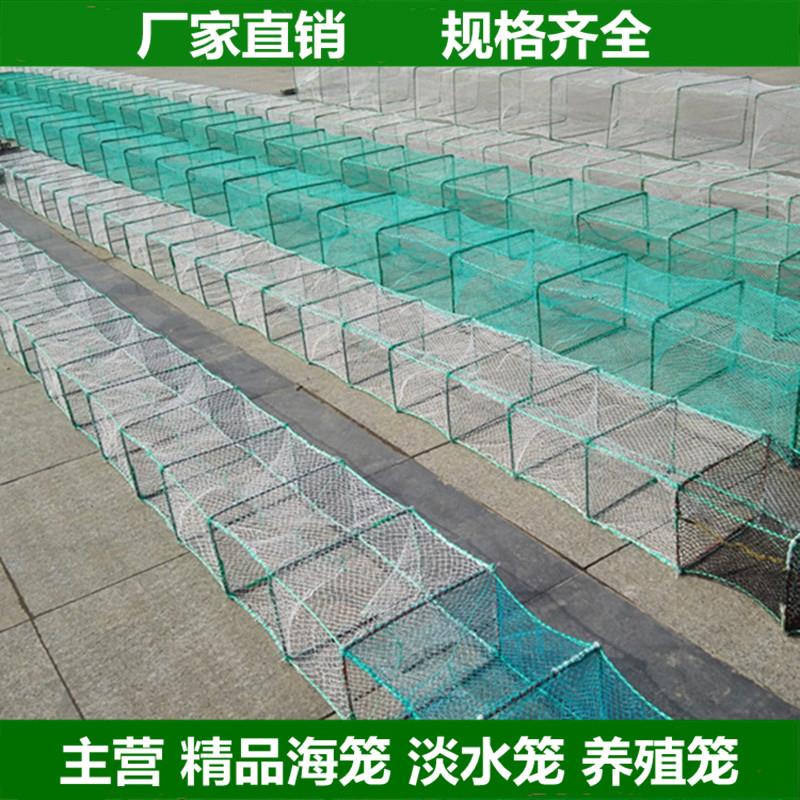 虾笼折叠捕虾网大号鱼笼只进不出加厚抓龙虾捕鱼笼有结螃蟹笼海用