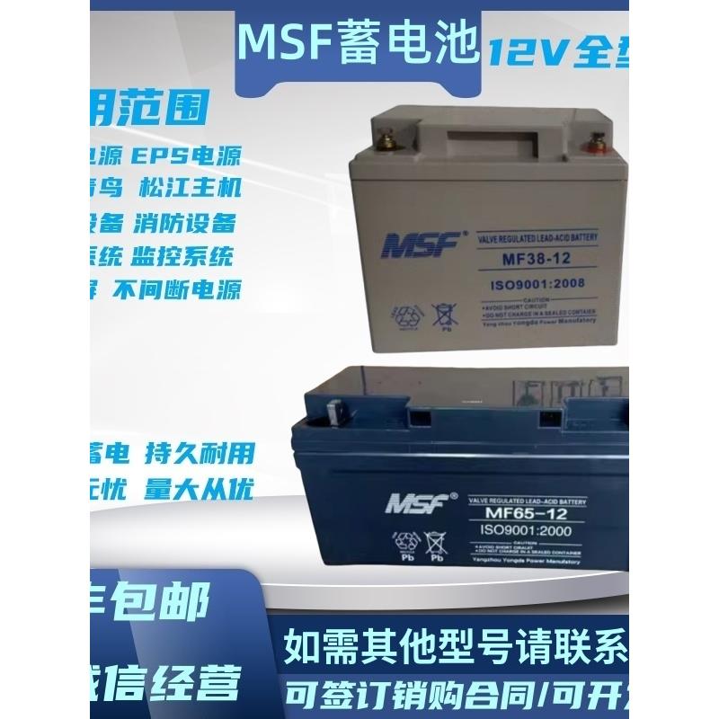 MSF蓄电池MF-12V17A24A38A40A65A100A机房直流屏备用铅酸免维护