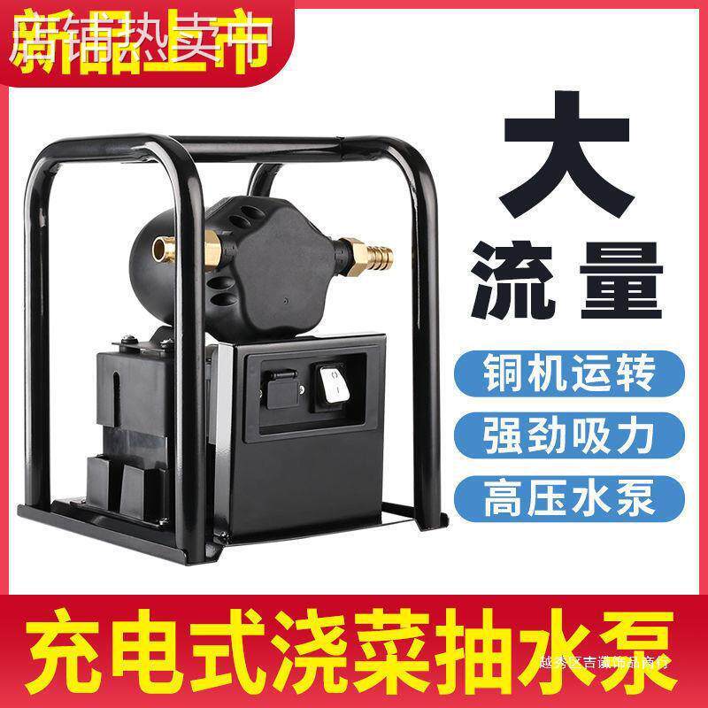 大功率充电浇菜水泵户外农用灌溉抽水机12V高压水泵大流量抽水泵