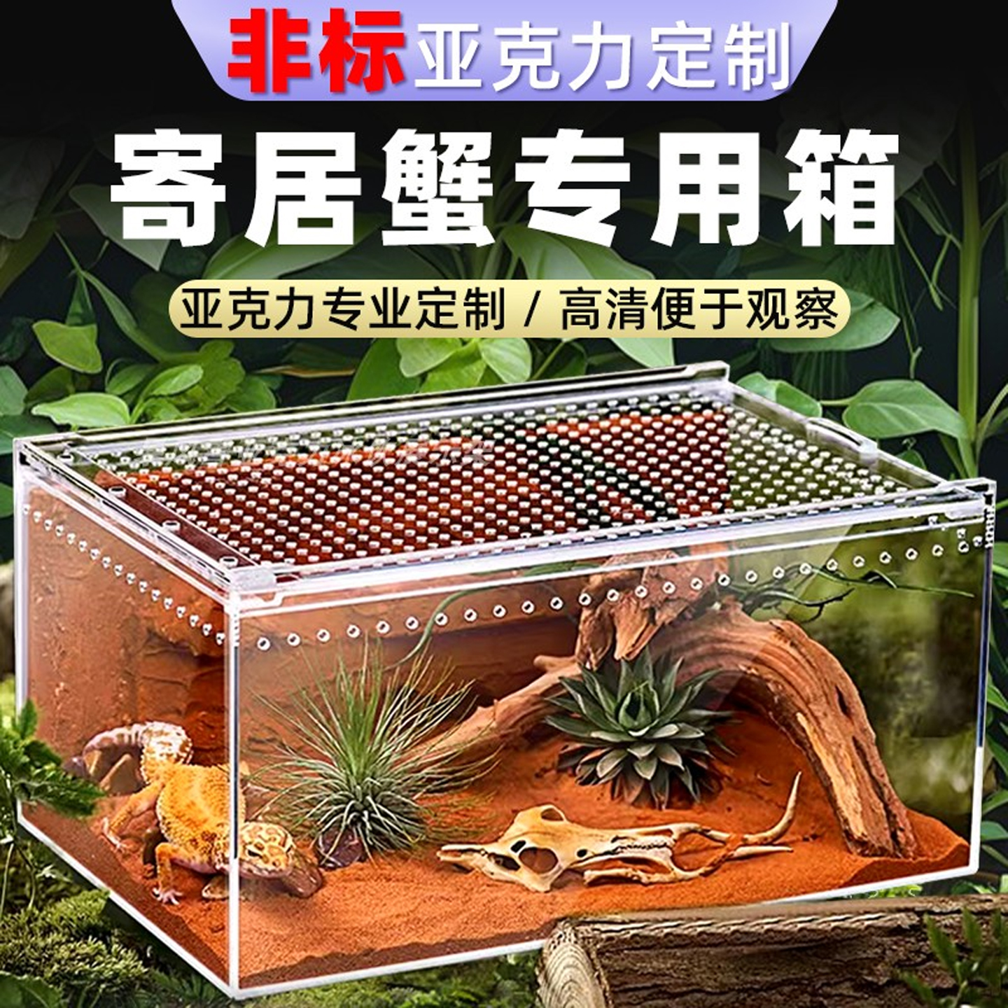 饲养盒定制生态缸蛇箱沙漠造景蛇豹纹蜥蜴透明缸甲虫饲养箱角蛙
