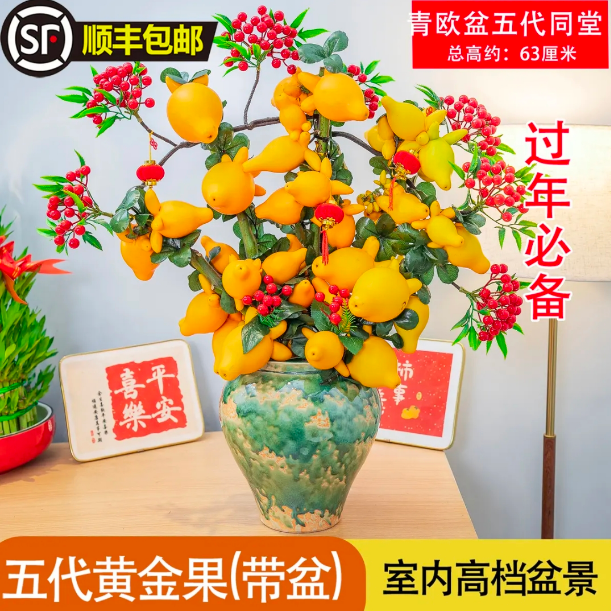 五代同堂黄金果盆景客厅开业摆件