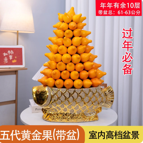 五代同堂黄金果盆景客厅店庆开业摆件五代果盆栽招财进宝年宵花卉