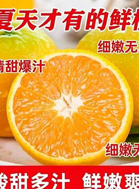 广西夏橙当季现摘薄皮橙子甜橙9