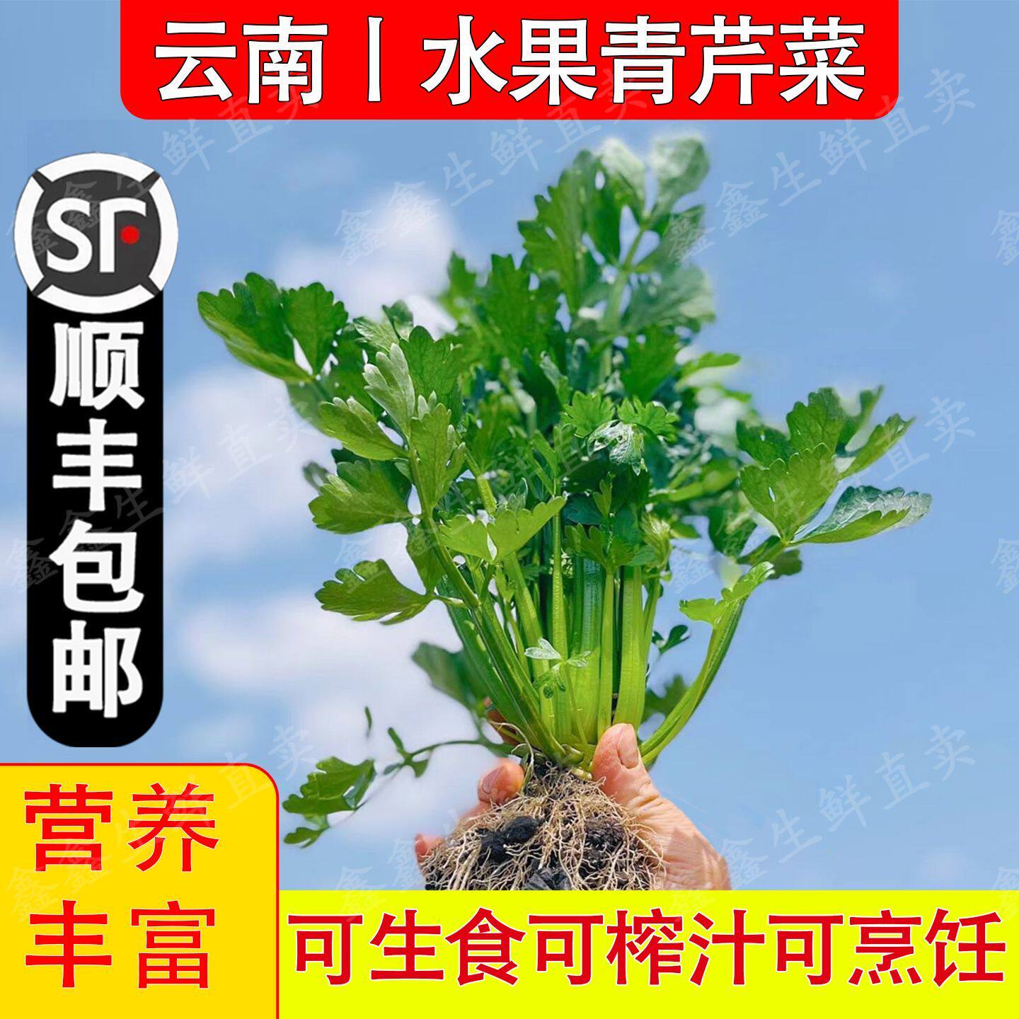云南清芹新鲜水果芹菜西芹星级酒店同款当季生吃脆嫩无丝菜农采摘