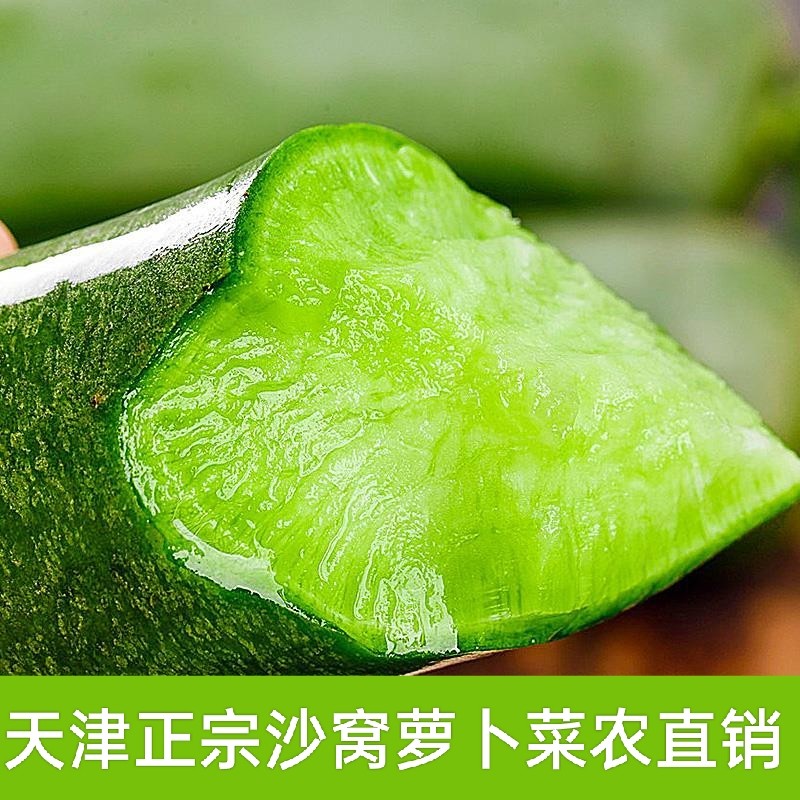 天津正宗沙窝萝卜水果萝卜礼盒精品萝卜甜脆即食当季新鲜整箱9斤,水产肉类/新鲜蔬果/熟食,萝卜/胡萝卜,淘宝优惠券,粉丝福利购,淘宝优惠卷