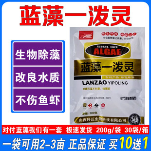 蓝藻分解素速净水产养殖鱼虾蟹塘蓝藻净水蓝藻速灭一泼灵不伤水草
