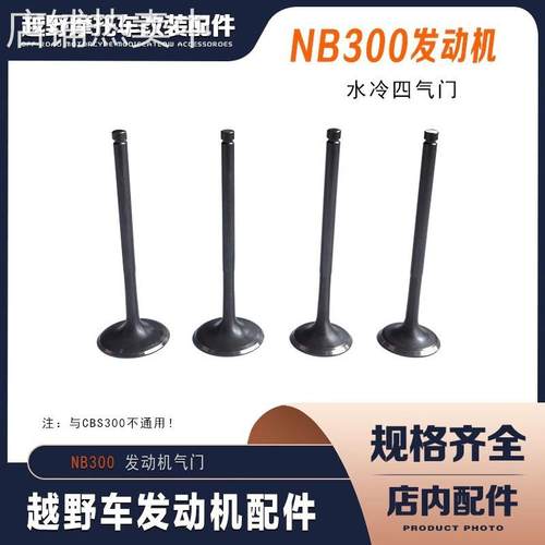 AJ1 克维思 波速尔越野摩托车NB300发动机水冷四气门进排气门组件