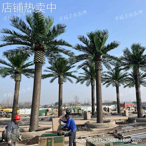 仿生海藻树大型玻璃钢仿真加纳利海藻树户外中东椰子树工程景观树