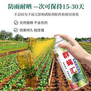 群蝇汇瓜果实蝇昆虫诱粘剂蔬菜引诱剂果蝇诱捕器诱捕高效诱捕