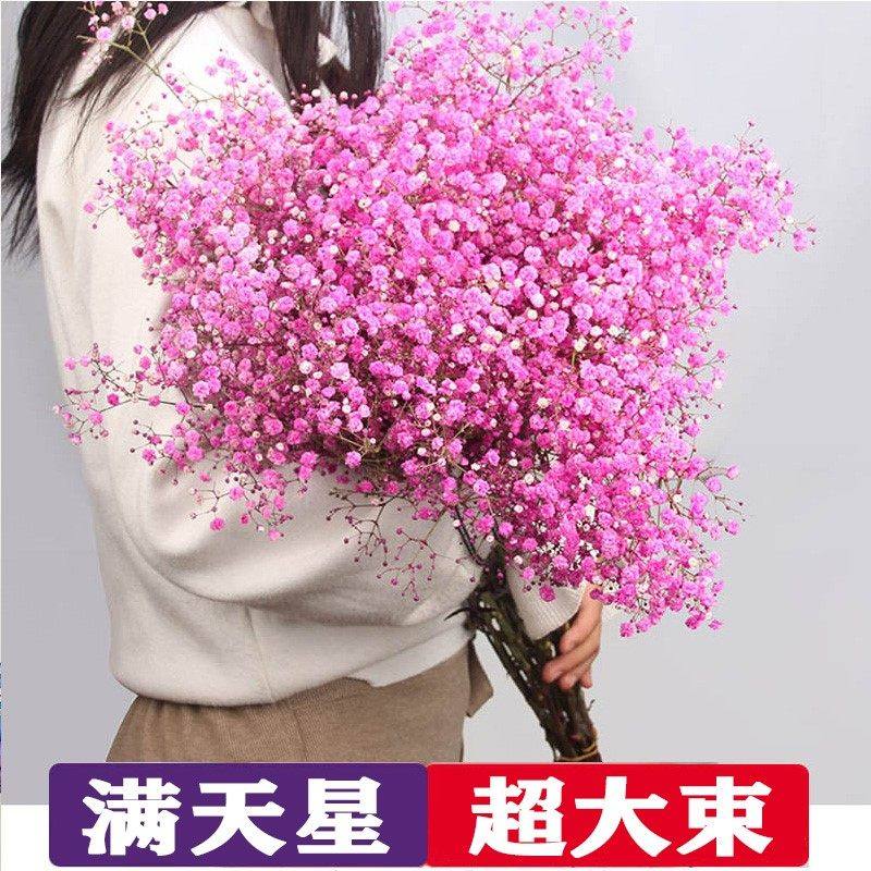 满天星干花花束客厅摆设摆件粉蓝色真花鲜花装饰摆件云南风干天然